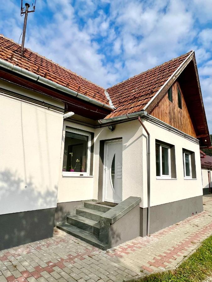 Silver House Rasnov Екстериор снимка