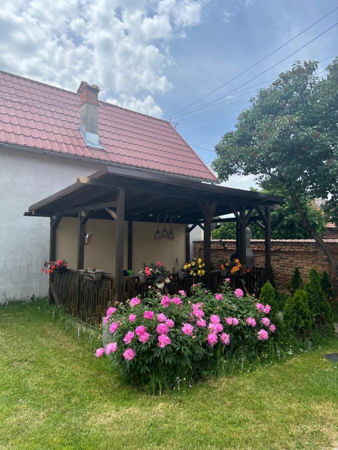 Silver House Rasnov Екстериор снимка